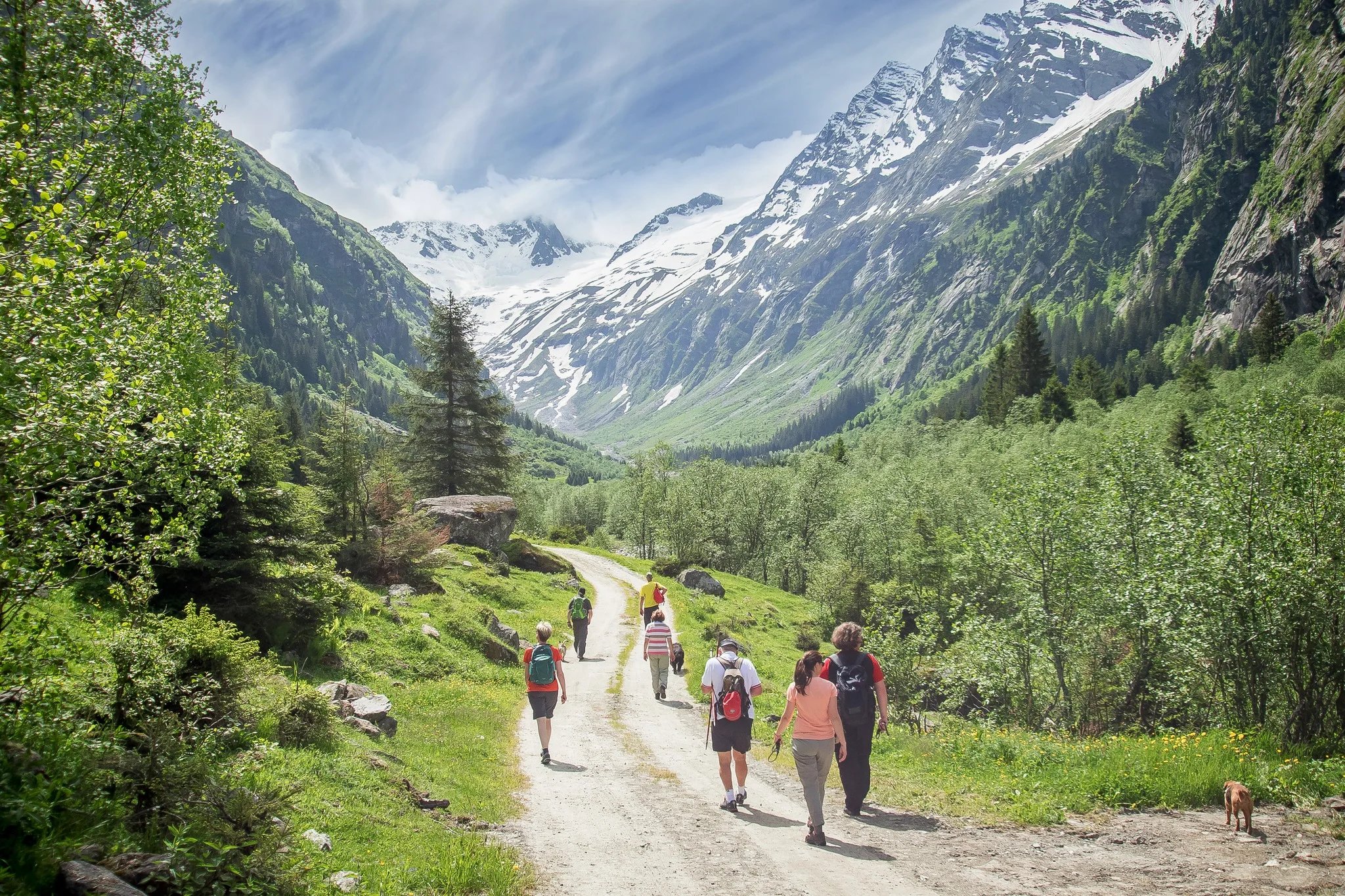 Aktivprogramm mit geführten Wanderungen im Hotel Magdalena