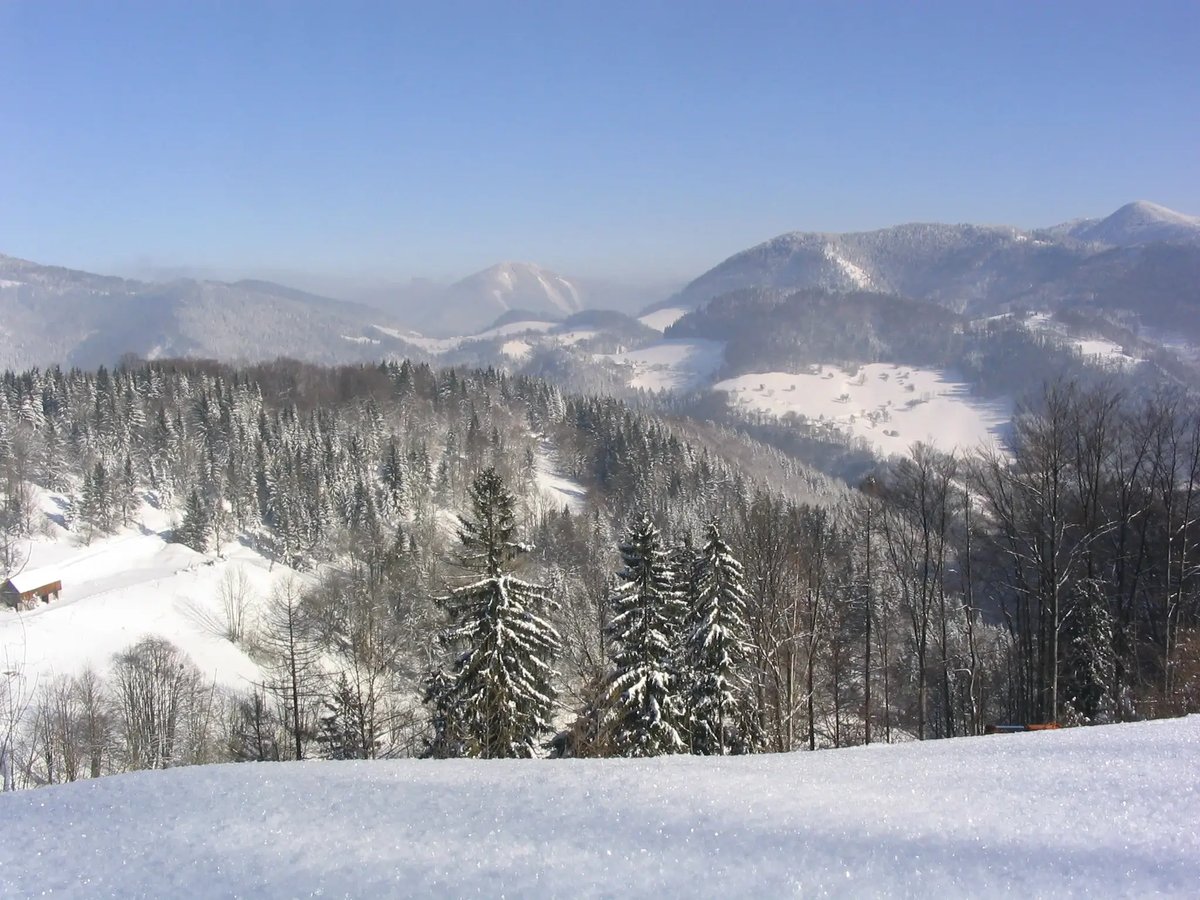 Winterlandschaft Niederösterreich (1)